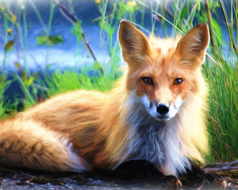 5d Diamond Art Painting House Light Street City Diamond Embroidery Mosaic Fox Eagle Animal Cross Stitch Needlework Decor for Home