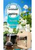 Rural Toilet Deodorizer: Odor Remover & Air Purifier for Urine and Sewage In Public and Farm Bathrooms