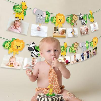 1st Jungle Theme Safari Birthday Jungle Safari Birthday Bunting Banner Birthday Party Decorations