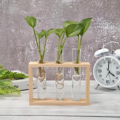 Transparent Glass Vase Bonsai Wood Frame Iron Desktop Ornament for Household Living Rooms Office Creative Ornaments