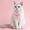 Colar para Animais de Estimação Elegante Ajustável Coleira para Gato Cachorro com Laço de Pérola Falsa Fofo