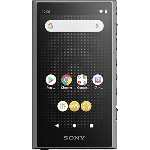 Sony Walkman NW-A306 32GB A300 Series MP3 Player Bluetooth Android Support Touch Panel 36 Hours Hi-Res Streaming LDAC aptX HD 360 Reality Audio Gray