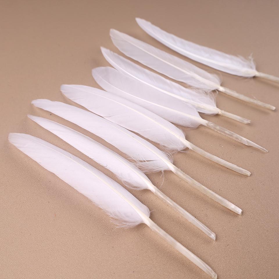 Duck Feathers for Clothes Handicraft Accessories White Golden Black Pink Peacock Goose Feather Plumas Handicraft Article
