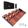 Bateria e instrumentos de percussão – Outros instrumentos de percussão