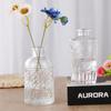Embossed Glass Vase for Fresh or Dried Flowers - Home Hydroponics Decor