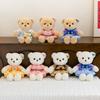 Vincent DIY Bear Plush Toy - Removable Clothes, Children's Gift