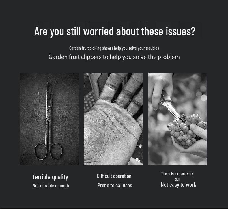 Gardening Shears Set: Pruning & Thinning Tools for Fruit, Vegetables, Sweet Potatoes, Grapes, and Apples; Includes Picking and Prickly Ash Shears.