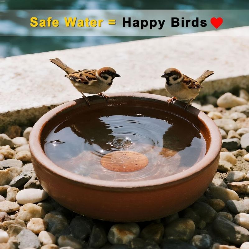 Coppers Cleaning Plate For Birdbaths Eliminates Frequent Maintenance Saves 120 Minutes Monthly