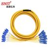 SNIT 12-Core Breakout Single-Mode Fiber Patch Cord
