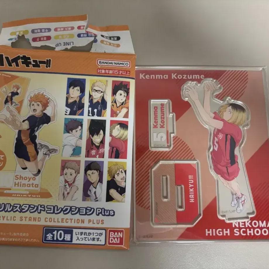 

Haikyu Kenma Random Acrylic Stand