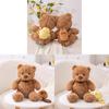 Bear Teddy Adorable Plush Toy With Capybara Companion Cute Animal Gift Perfect