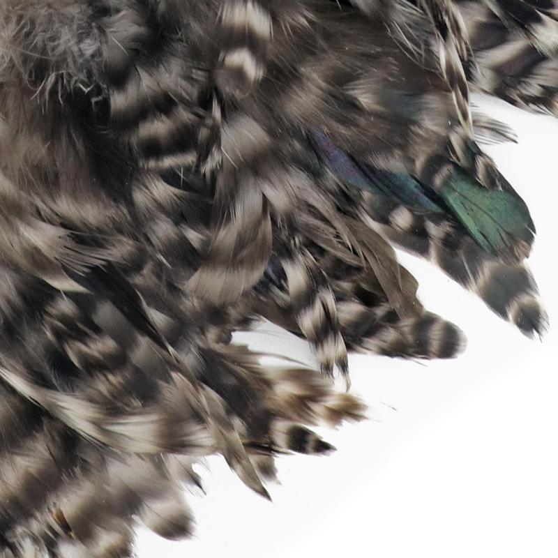 50Pcs Green Reed Flower Chicken Feather 6-8 Inches Reed Flower Swimming Hair Headgear Ethnic Style Accessories Cat Teaser Stick Feather Toy Accessorie