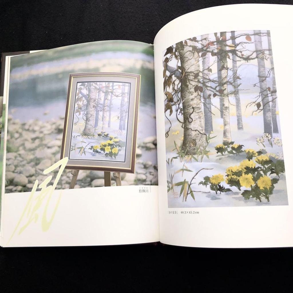[USED] Masae Kuwano Collection, 2-volume set: "The Music of Pressed Flowers" and "Pressed Landscapes" at Hita Pressed Flower Museum