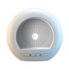 dw06 bluetooth speaker