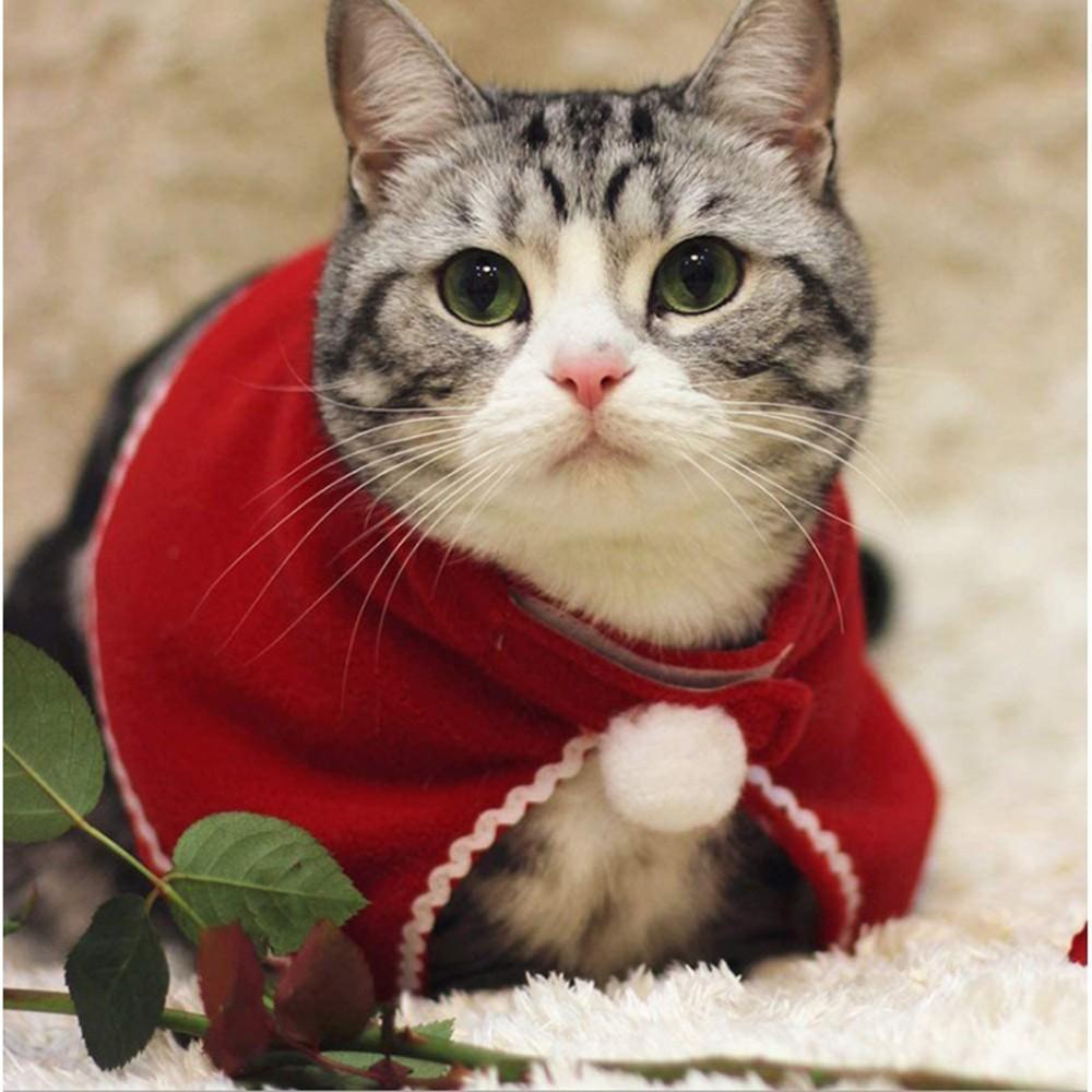 Christmas Costumes for Cats and Dogs Dress Up Your Pets In Holiday Attire