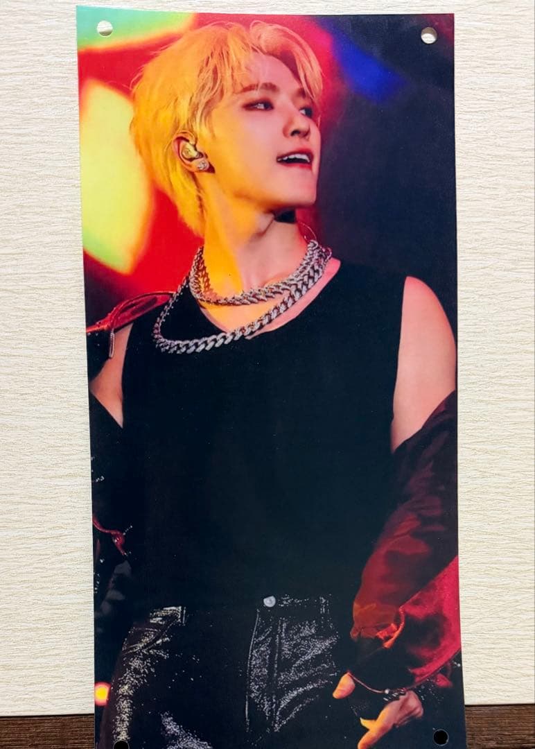 [USED] K-POP Seventeen DINO Tapestry