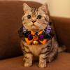 Dog Accessories Adjustable Halloween Cat Collar Soft Lace Dog Pumpkin Bow Collar with Bell Puppy Bat Bow Tie for Cats and Dogs