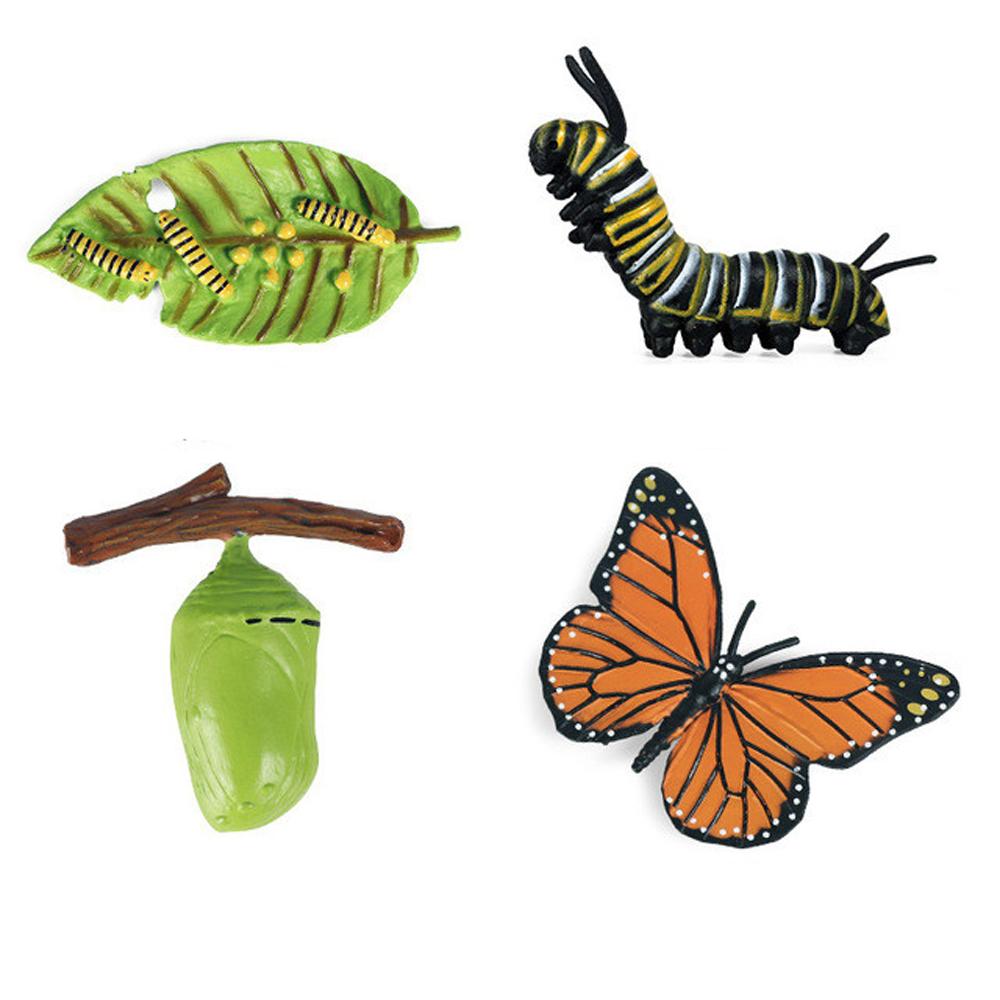 Cycle Teaching Material Life Cycle Figurine Simulation Animals Action Figures Growth Cycle Model