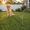 Rust-Proof Dog Ground Anchor Reinforced Dog Tether Stake Ground Spike Dog Stake  Beach