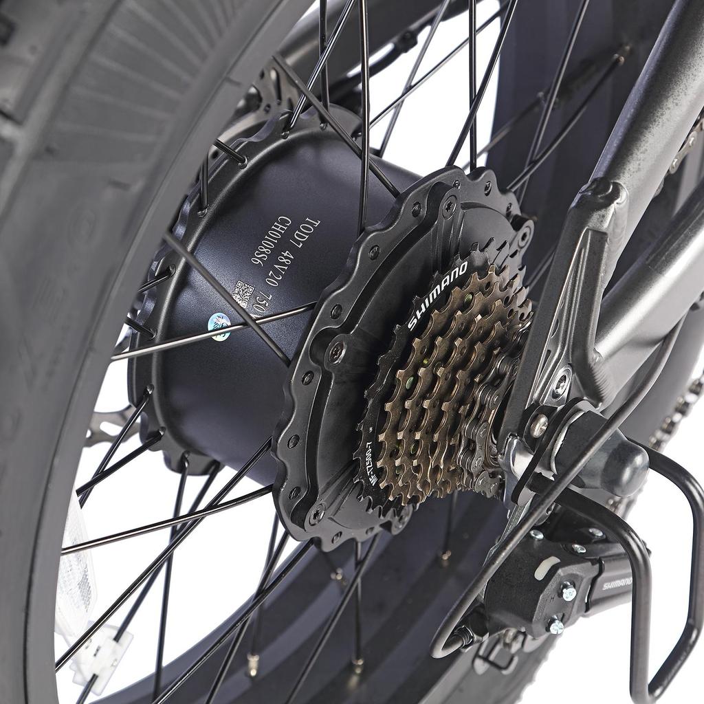 FAFREES F20 Ultra Elektrické kolo 750W Motor, 48V 25Ah Baterie, 20*5,0 Palcové Tlusté Pneumatiky, Mechanické Brzdy, Dojezd 80-100KM, E-bike s Dvojitým Odpružením