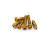 Stainless Steel Color-plated Anti-theft Bolts, Front and Rear Brake Calipers, Rear Shock Absorber Tube Bolts, for Brembo P2.34