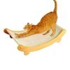 Kedi