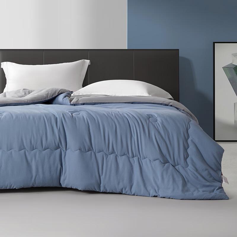 Tangna Elegant Soft Cloud All-Season Quilt