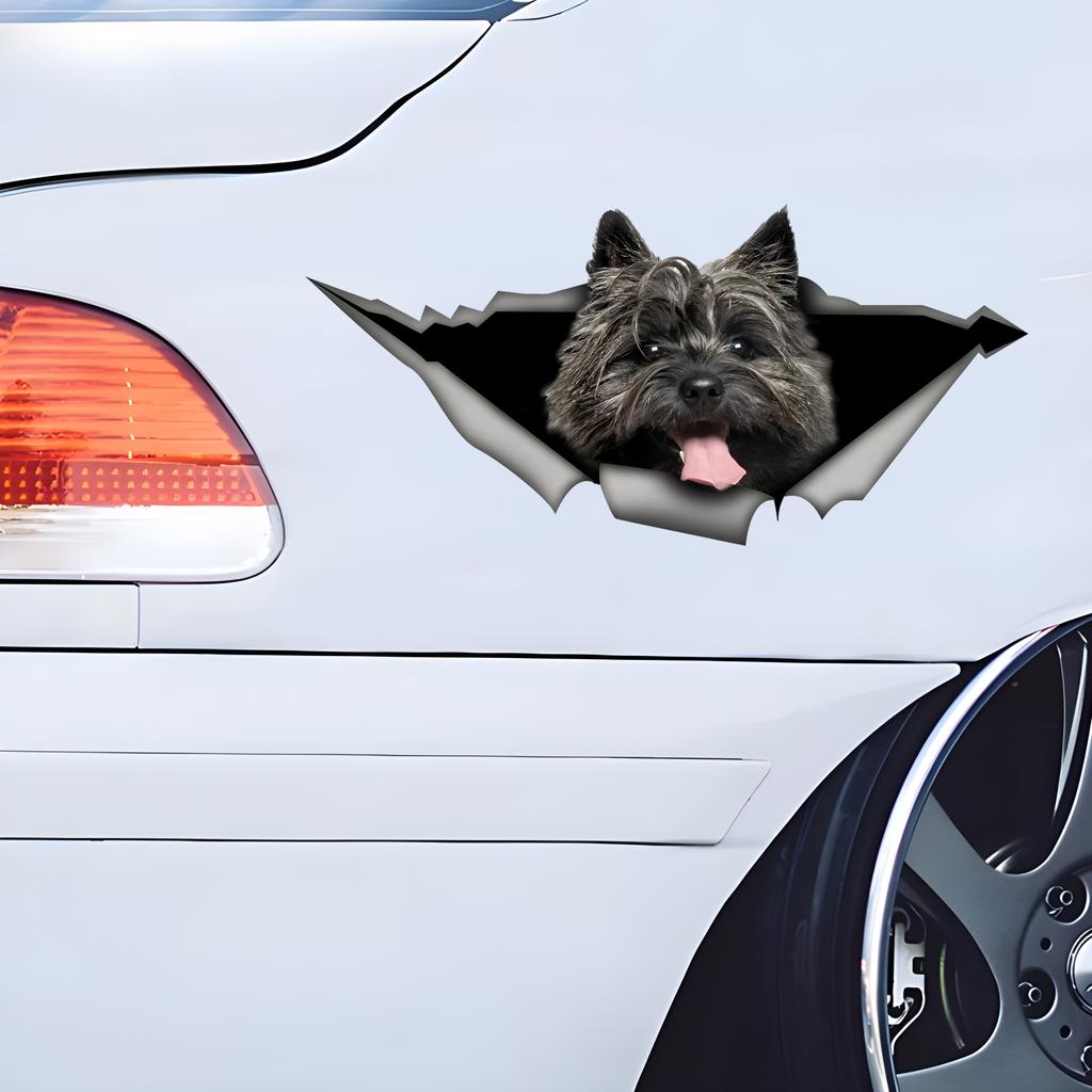 Car Stickers for Crow Hidden In Holes, Waterproof Irregularly Shaped Car Decoration Decals