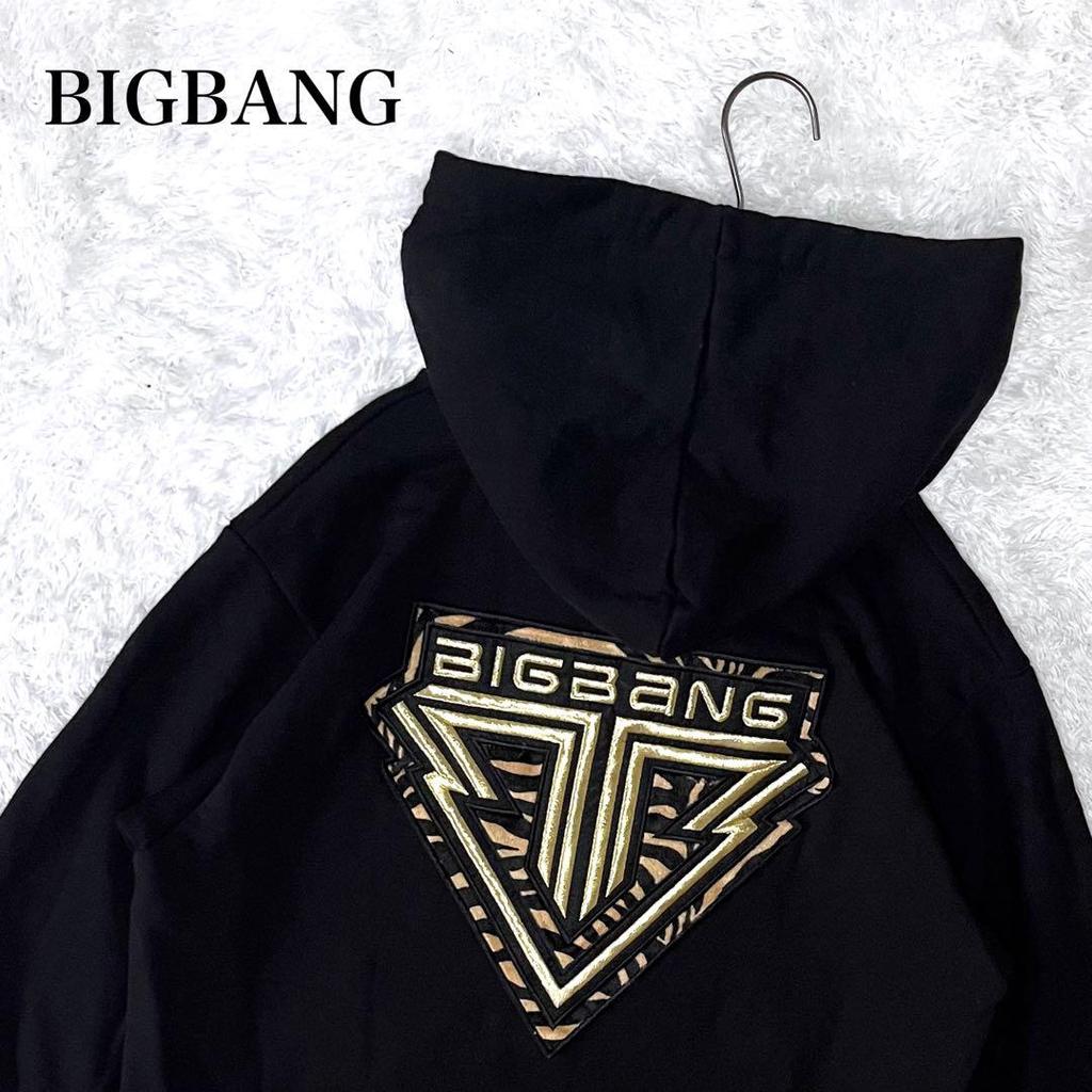 [USED] BIGBANG ALIVE TOUR 2012 Zebra Print Embroidered Hoodie, Size M