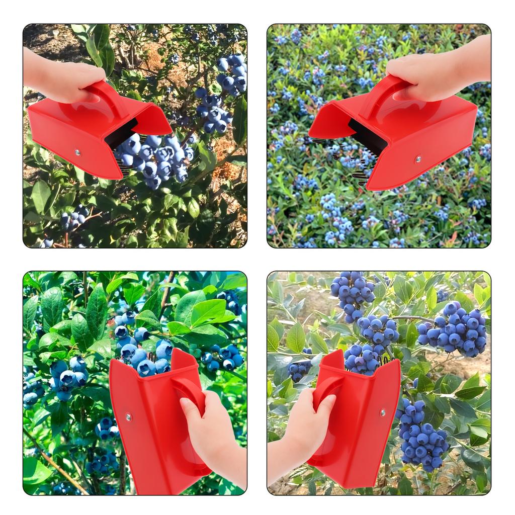 Heavy-Duty Red Plastic Berry Picker with Metallic Comb & Ergonomic Handle 800-900 Capacity Blueberry Rake for Elderberries