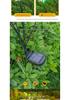 Solar-Powered Fiber Optic Butterfly Garden Lights, Waterproof Outdoor Decoration