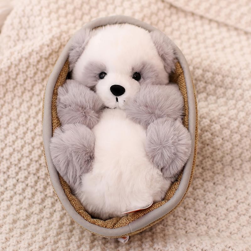 HYAKURI Plüsch Niedlich Klein Gefüllter Körper Plüschtier Panda Bär/Teddybär, Tier, Tier/Bärenwickel/Bärenkissen/Feier/Flauschig (C Grau, 21cm)