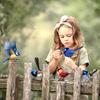 5 Stück künstlerische Eisen-Vogelfiguren für den Außenbereich, Garten und Zaun, in kräftigen Farben