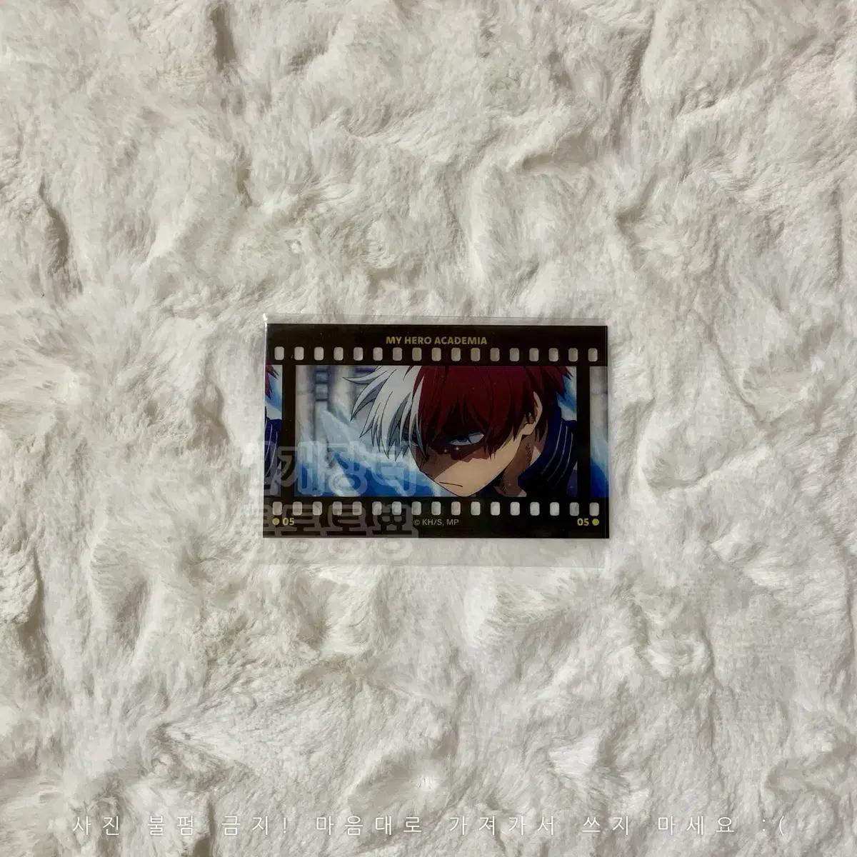 

Nahia Film Style Clear Card Collection Todoroki Shoto A Hiroaka Clka