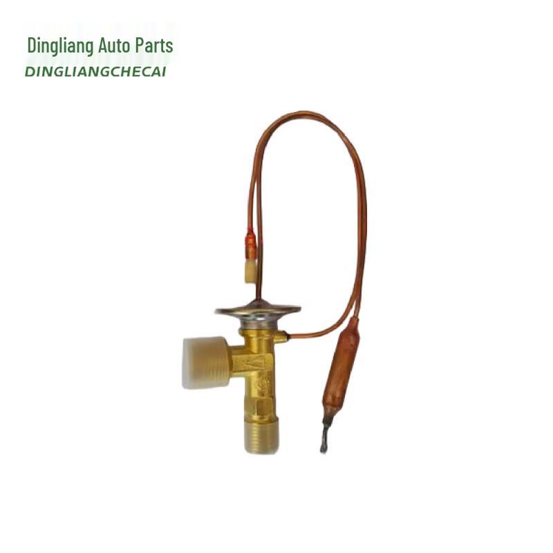 Nanjing Iveco NJ2046 AC Expansion Valve