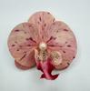 3D realistic orchid hairpin 1 PC butterfly side clip flower atmosphere-themed hairpin with girl  Delicate Jewelry