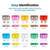 120Pcs Car Small Size Standard Low Profile Blade Fuses 5/7.5/10/15/20/25/30 AMP
