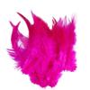 100PCS Stylish Plumage Trims For Enthusiasts Addition To Accessories And Festival Decoration