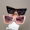 New in Big Frame Cat Eye Sunglasses ladies Fashion Vintage Popular Sun Glasses Punk Oversized Luxury  Designer Sexy Shades