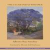 The Jacaranda Whispers by Alberto RuySnchez Paperback Book 9781945680847