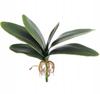 Decorațiuni pentru casă – Flori decorative şi coroane de flori