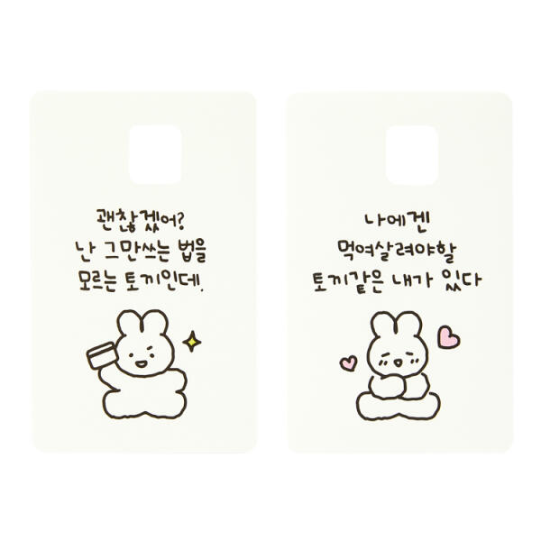 Bullet Journaling Bunny Cute Photocard Polco Deco Stickers