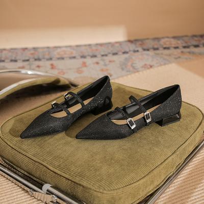 29819 [sheepskin] Flat Shoes Women's Thick Heel 2025 New Pointed Gradual Change Mary Jane Shallow Temperament Single Shoes