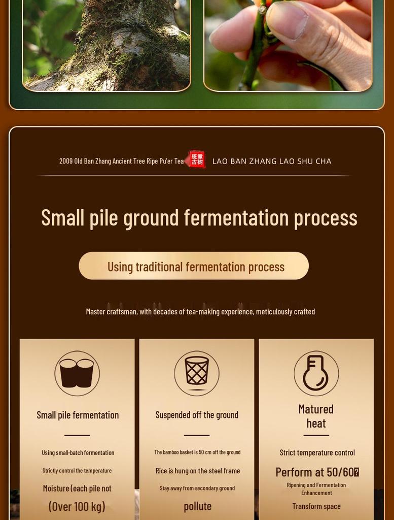 Yunnan Aged BanZhang Pu'er Ripe Tea, Ancient Tree, Small Cake, Gift Box, 10+ Years