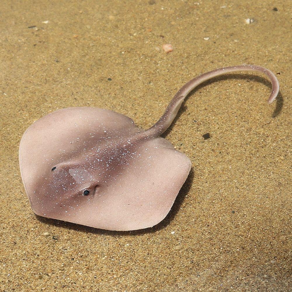 Fish Model Manta Ray Model Miniature Sea Life Action Figurines Ocean Animal Figures  Kids Toy