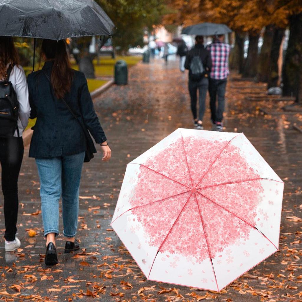 Clear Bladder Screen, Transparent Umbrella, Sweet, Light Women's Dome Foldable Umbrella for