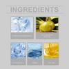 Firming Essence - Moisturizing Serum for Delicate Pores & Skin Elasticity | 1 Set