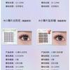 GELLA'S - Thin Glue-free False Eyelashes - Girls Group