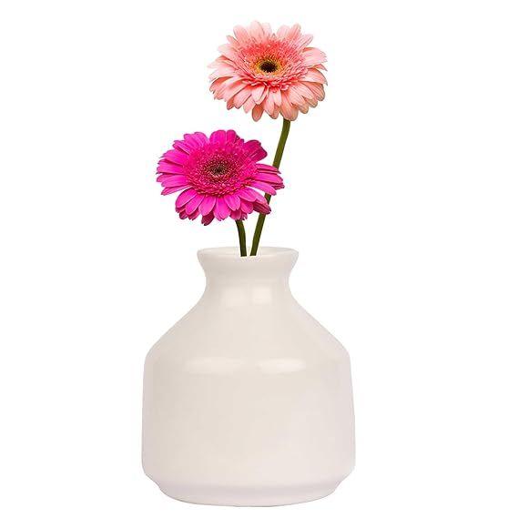 Jarrón/Maceta Decorativa de Cerámica para Sala de Estar, Decoración del Hogar Sin Flores (3.5 pulgadas)