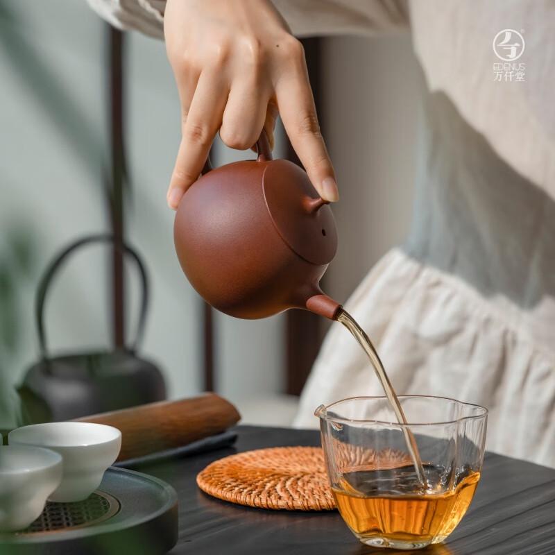 Edenus Yixing Zisha Teapot